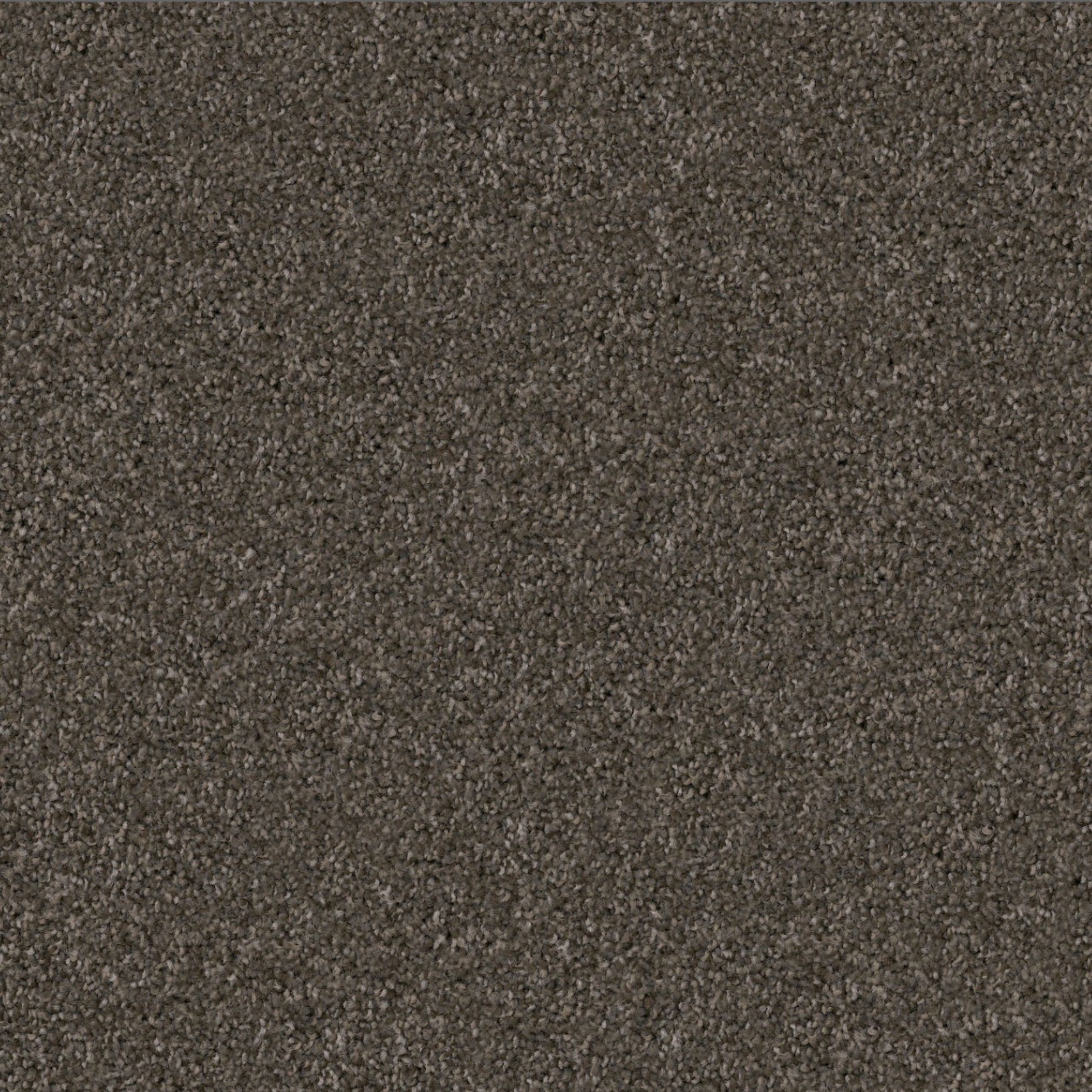 Brownie carpet flooring sample