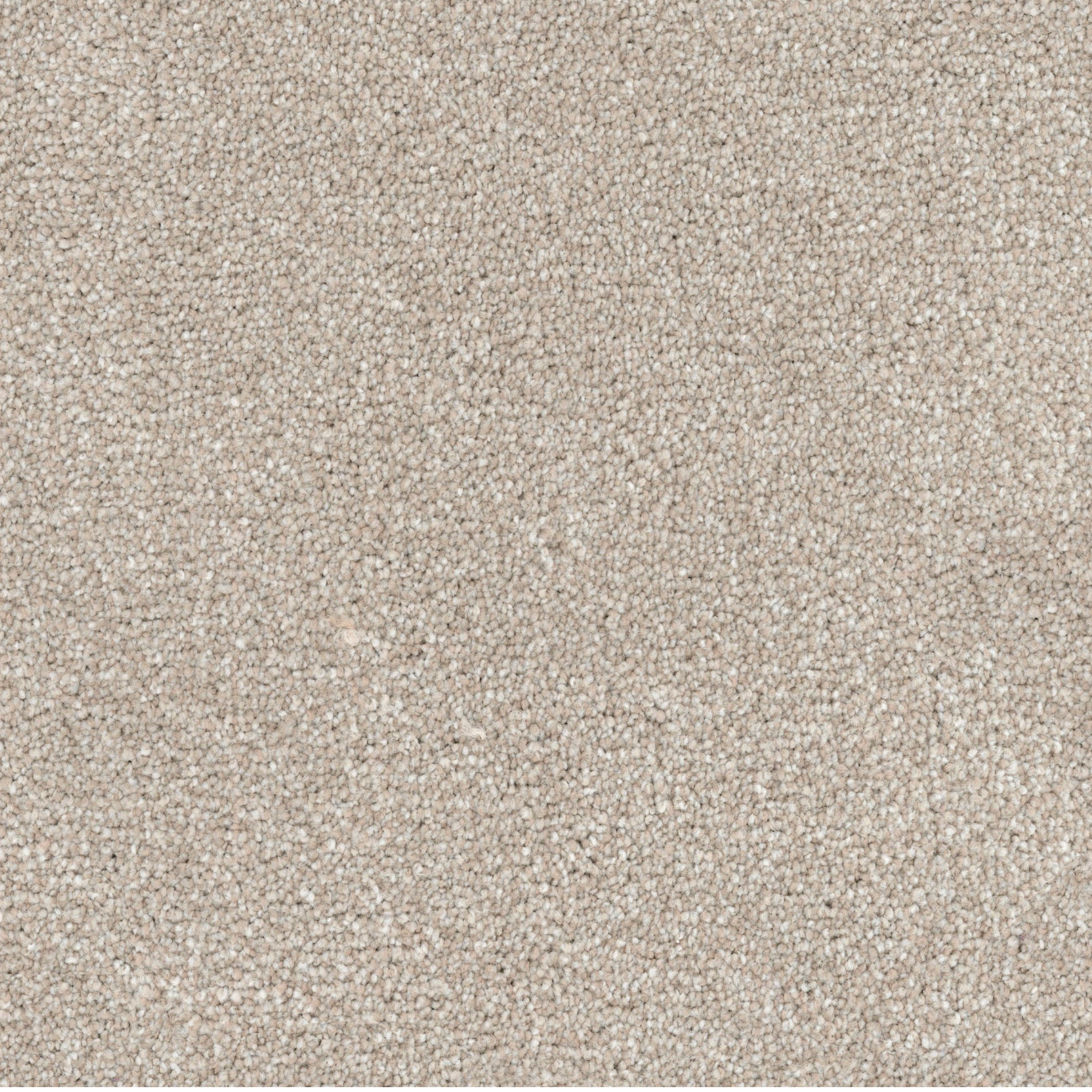 Greige carpet flooring sample