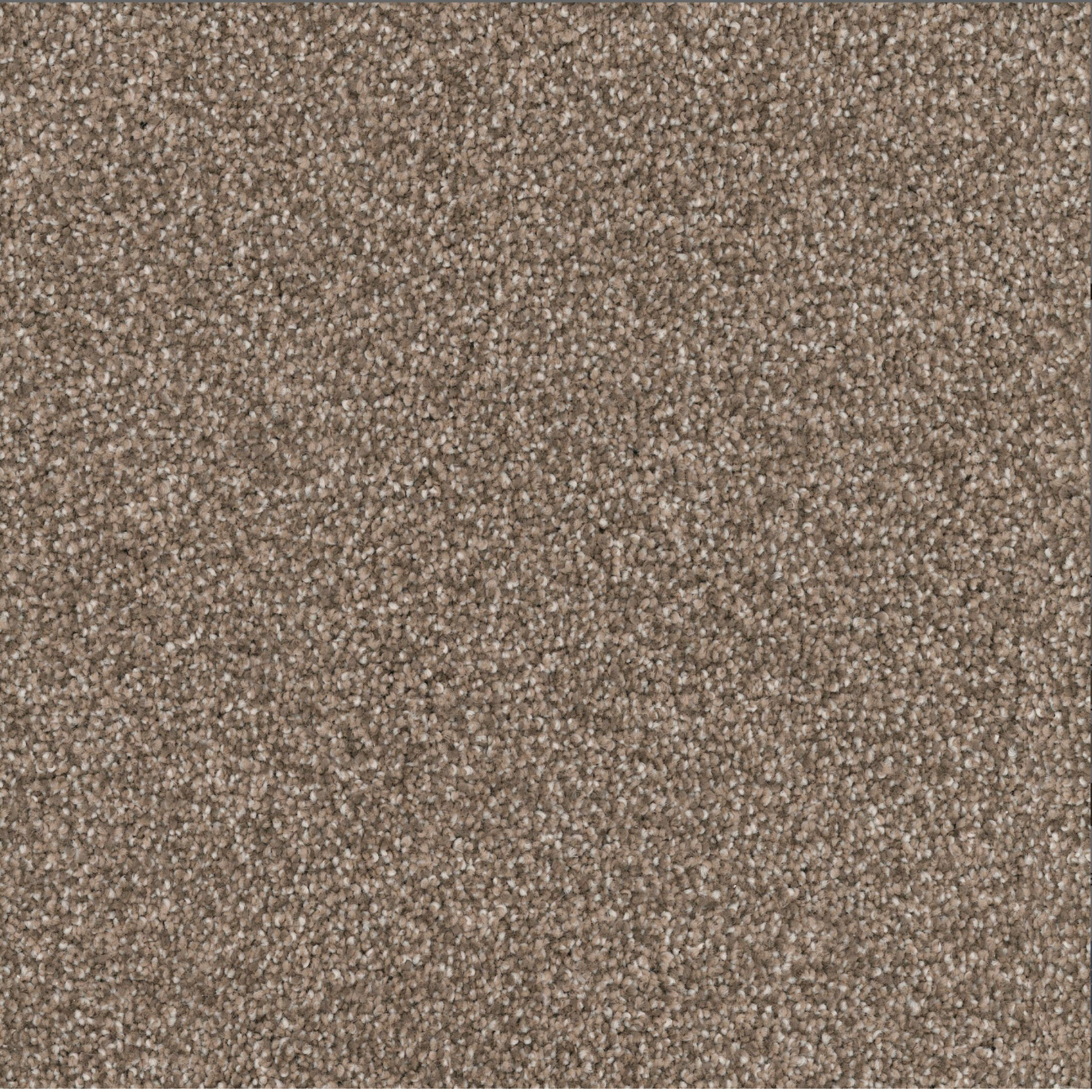 Mocha carpet flooring sample