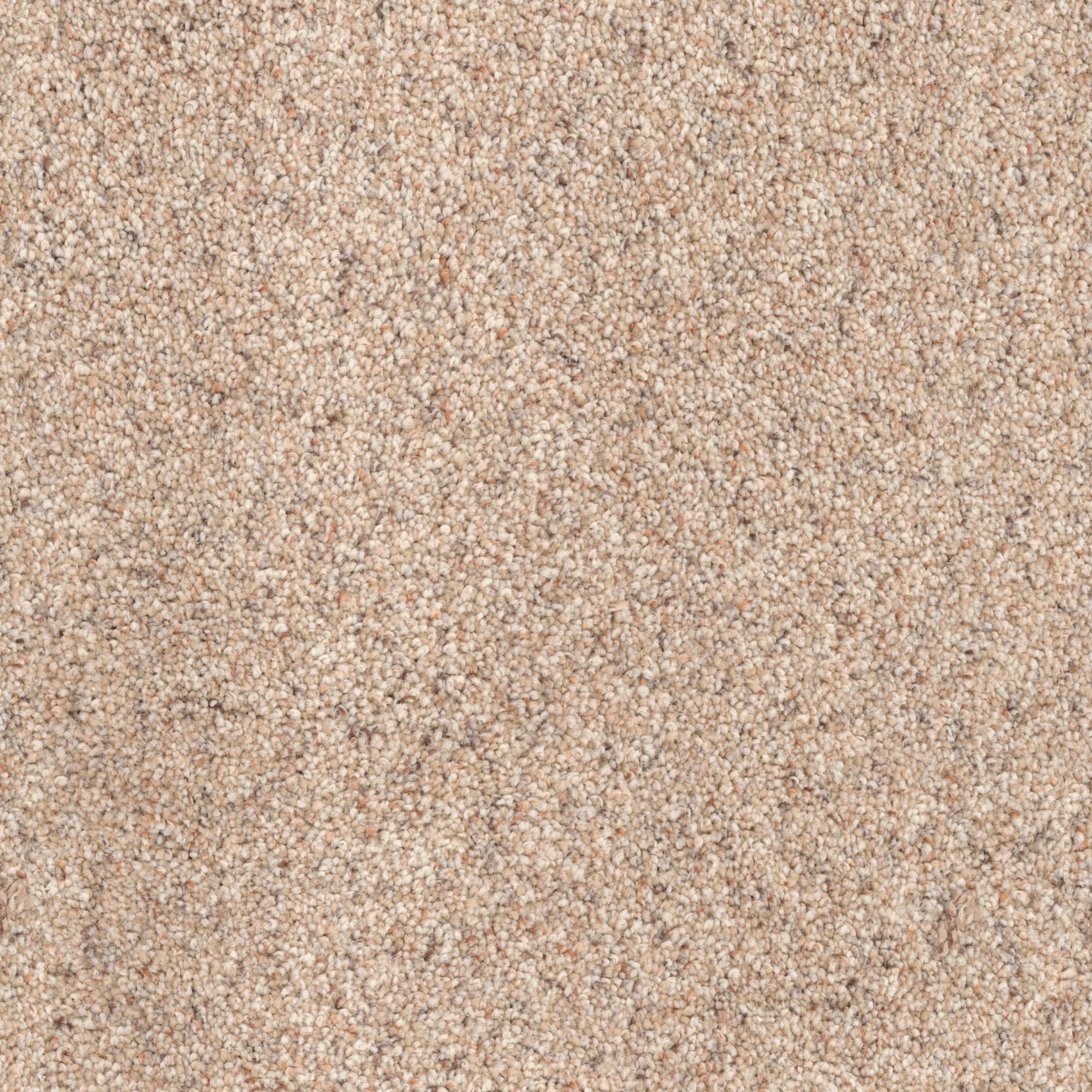 Oatmeal carpet flooring sample